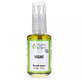 Weinreben Mazerat kbA