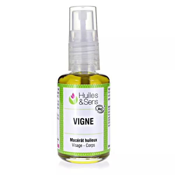 Weinreben Mazerat kbA