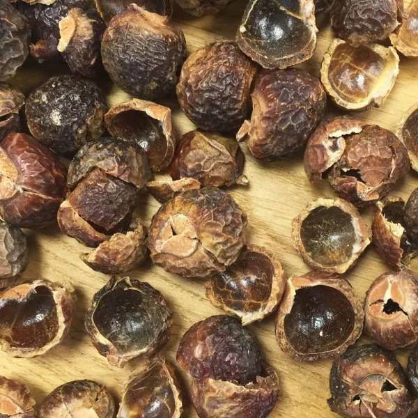 Waschnüsse