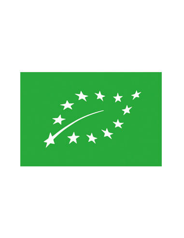 Ätherisches Öl der Balsam-Tanne - Abies balsamea