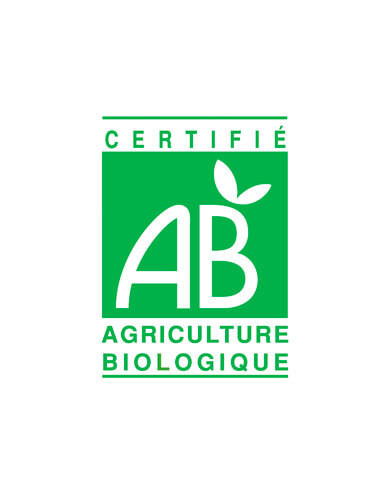 Khella (Cedrelopsis) Organic Essential Oil - Ammi Visnaga