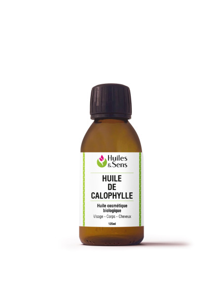 Huile de Calophylle bio