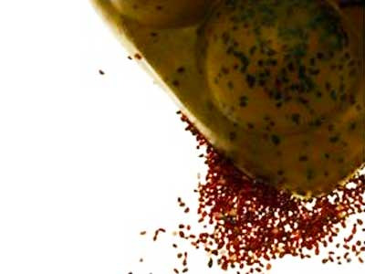 Savon Melt & Pour Exfoliant et Régénérant